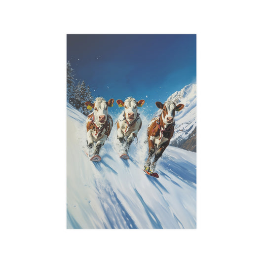 Skiing Cows Poster