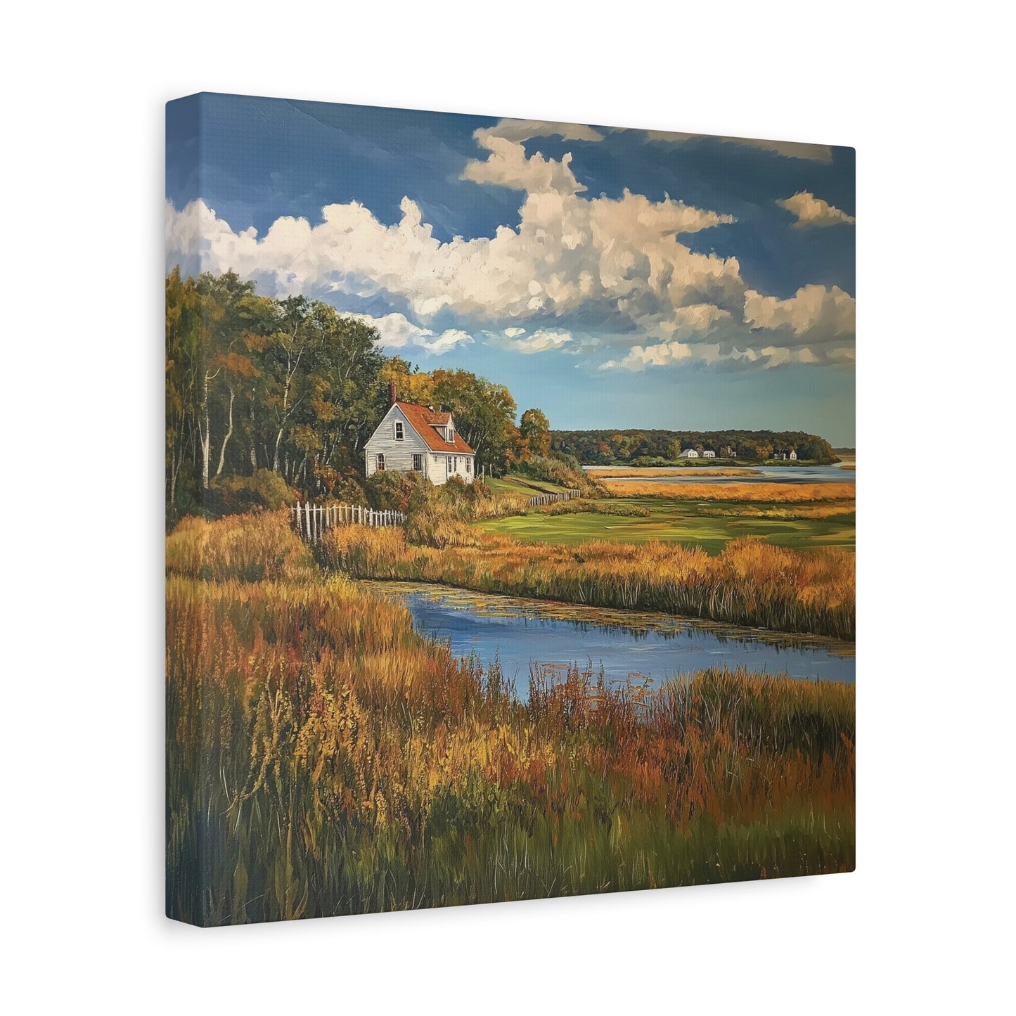 House in the Floodplains Canvas